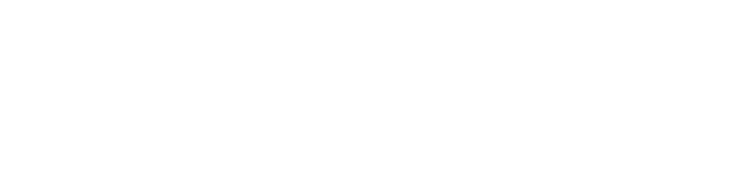Elit Curtains